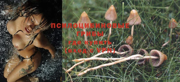 марки lsd Сосновый Бор