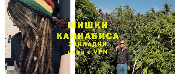 бошки Снежинск