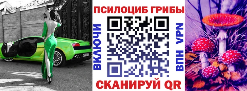 Купить где  Ульяновск  Псилоцибиновые грибы мицелий 